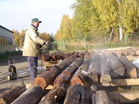 Fig.27. Washing and air-drying of logs before stacking