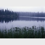 Лесное озеро-ламбушка в Карелии, утренний туман