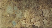 Pottery in the excavation trench 