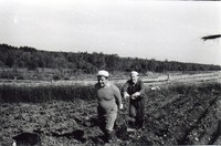 Братья Максимовы пашут огород, 70-е годы