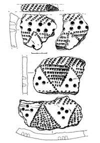 Рис.10. Образцы керамики из поселения Вожмариха 1