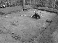 Рис.4. Вид на раскоп на поселении Вожмариха 19 после снятия 4 горизонта