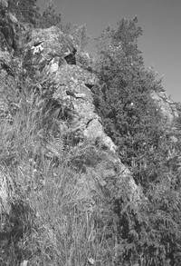 Рис.4. Скальный останец антропоморфной формы на о.Радколье («хозяин острова»)