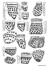 Рис.6. Образцы керамики из поселения Вожмариха 1