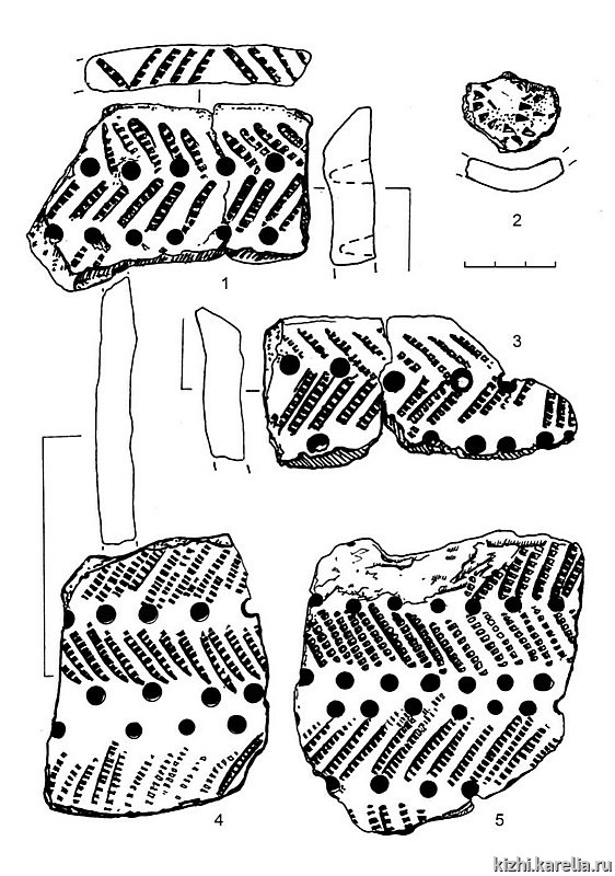 Рис.246. Гребенчато-ямочная керамика (1–5) из поселения Вожмариха 4 (раскоп 2)