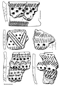 Рис.7. Образцы керамики из поселения Вожмариха 1