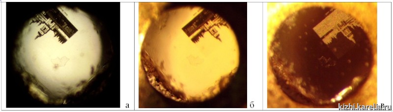 Рис. 3. Микрофотографии в кресте №2. А - снимок сделан с лицевой стороны креста через инвертированный биологический микроскоп. Б, В - снимки сделаны с оборотной стороны креста через стереоскопический микроскоп.