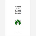 Nature of the Kizhi Skerries