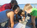 Юные пяозерские исследователи в Летней школе на острове Кижи
