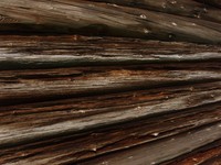 Фото 15. Деструктированная древесина амбара, вид с   восточной стороны амбара