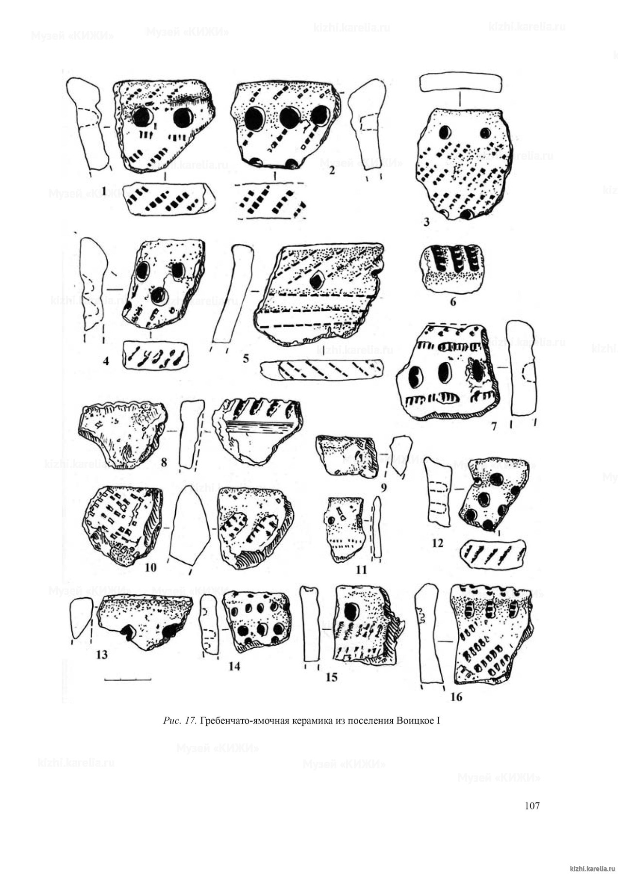 Рис. 17. Гребенчато-ямочная керамика из поселения Воицкое I