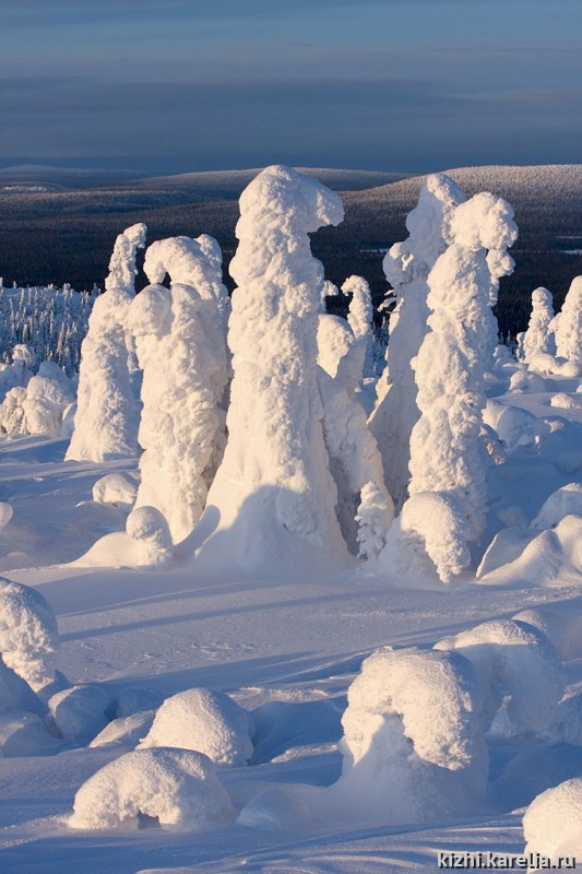 Деревья под снегом, снежные скульптуры