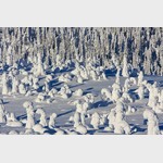 Снежные фигуры, деревья под снегом