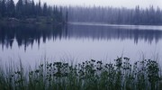 Лесное озеро-ламбушка в Карелии, утренний туман