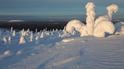 Ели в снегу, снежные фигуры