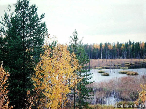 Осень. Осенний пейзаж у озера