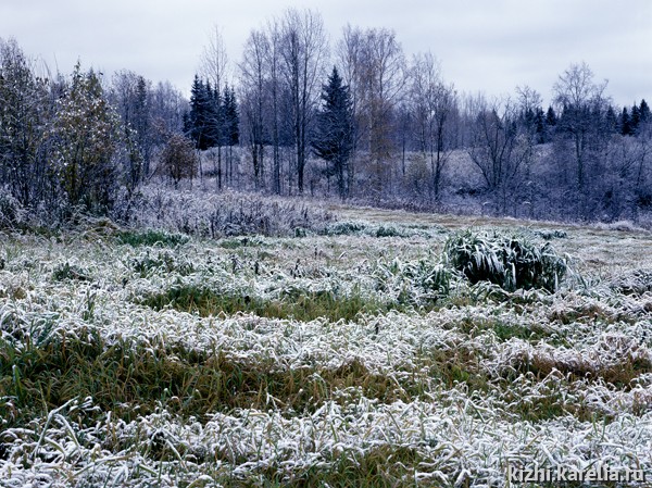 Зимнее поле. Первый снег