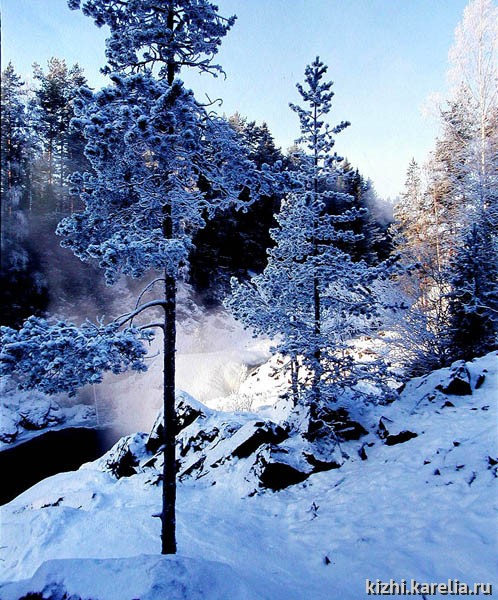 Зимний пейзаж, зимний карельский лес