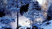 Зимний пейзаж, зимний карельский лес