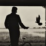 Мужчина и голубь (автор – Анна Резников)
