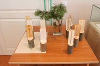 Экспонаты передвижной выставки - спилы древесных пород, произрастающих на о.Кижи