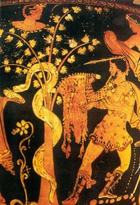 «Ясон и золотое руно». Фрагмент росписи афинской чернофигурной вазы. Музей П. Гетти (Лос-Анджелес)