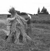 Демонстрация традиционных земледельческих работ