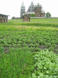 Кижский огород