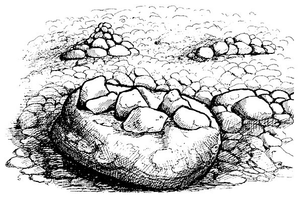 Рис.2. Плоский валун с уложенными на него камнями. Остров Большой Заяцкий. Белое море