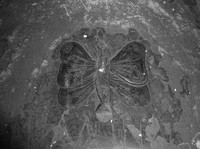 Рис. 1. Изображение бабочки на могильной плите 1996 г. в Загребе (Хорватия). Фото автора, 2014 г.