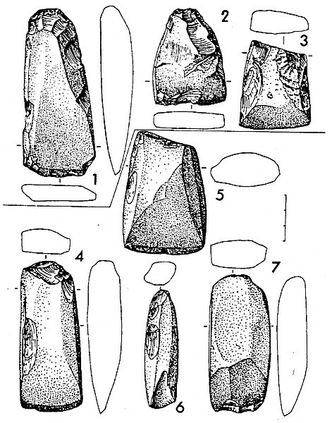 Рис.4. Сланцевые орудия с поселения Воицкое I (1-3) и Грудино (5-7)