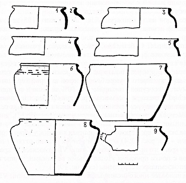 Рис.10. Красноглиняная (1-4) и белоглиняная (5-9) керамика из раскопок селища Толвуйская губа I. 1, 2 — тип IV; 4 — тип VI; 5 — тип VII; 6-9 — тип VIII