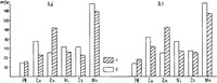 Рис.1. Динамика содержания тяжелых металлов в дерновом и гумуссо-аккумулятивном горизонтах (1 – 1999 г; 2 – 2005 г.)