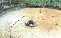 Рис. 16. Фрагмент раскопа с очагом на поселении Вожмариха 3