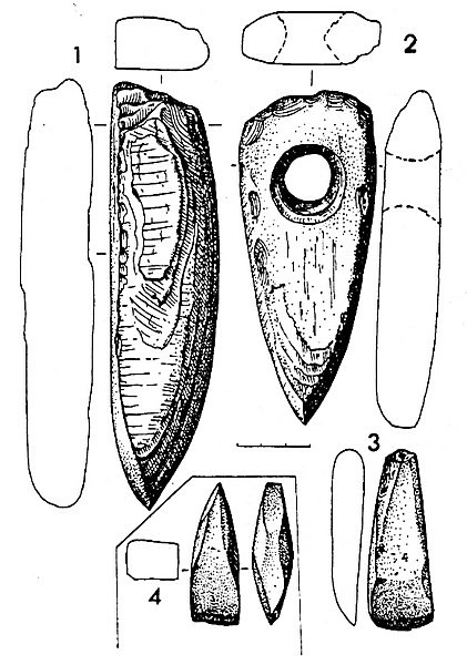Рис.6. Сланцевые орудия с поселения Воицкое I (1, 3), Воицкое V (2) и Воицкое IX (4)