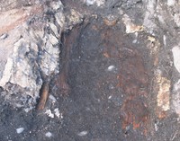 Рис. 3. Раскоп II. Головная часть гробовища с берестяным  покрытием, после изъятия костяка. Вид с запада