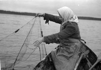 Рис. 3. Лов рыбы сетью (https://www.sotasampo.fi/ Р. Сиерла). Фотография сделана 16 октября 1941 г. д. Мины, Гатчинский район