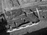Рис.1. Старая Ладога. Череп животного в основании постройки. Фото автора 2010 г.