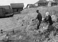Лов рыбы неводом у стен Спасо-Кижского погоста. бы в приходе, занятий 1943 г. Финский военный фотоархив SA-Kuva