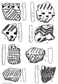 Рис.16. Образцы ямочно-гребенчатой керамики из поселения Радколье 2