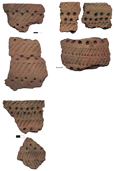 Рис.15. Образцы гребенчато-ямочной керамики (раскоп №2)
