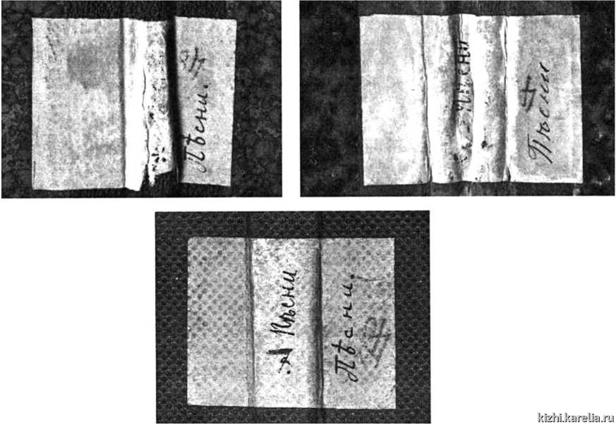 Рис. 1. Надписи на корешках записных книжек № 6111, 6112, 6116/1 НИОР НМБ, указывающие на их принадлежность к единой коллекции