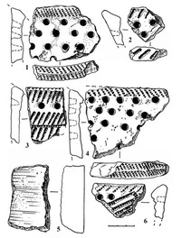 Рис.5. Поселение Пяльма I: 1-4, 6 – фрагменты гребенчато-ямочной керамики; 5 – обломок шлифовальной плиты, кварцит