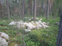 Рис.2  Панские камни в Панбарбик (Войлахта, Бабаевский район Вологодской области).