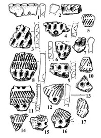 Рис.7. Образцы гребенчато-ямочной керамики