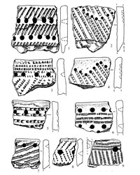 Рис.2. Поселение Гарнизон Бесовец II: керамика сперрингс