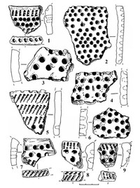 Рис.4. Поселение Пяльма I: 1, 2 – фрагменты ямочно-гребенчатой керамики; 3-9 – фрагменты гребенчато-ямочной керамики