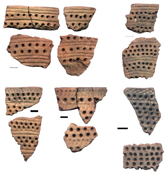 Рис.5. Образцы ямочно-гребенчатой керамики (раскоп №1)