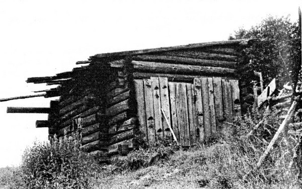 Фото 24. Баня в деревне Матчезеро Олонецкого района. Общий вид. НВФ-6491.