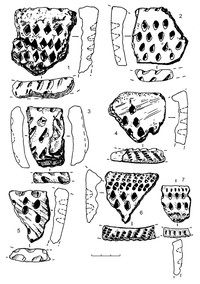 Рис.10. Керамика с ромбо-ямочным орнаментом (1–7) из поселения Вожмариха 21